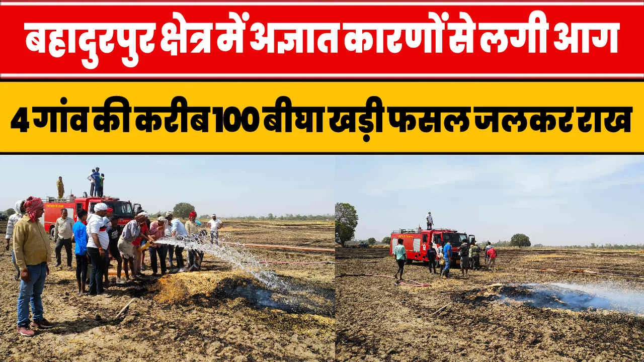 Basti News Today || अज्ञात कारणों से लगी आग, 4 गांव की करीब सौ बीघा खड़ी फसल जलकर राख
